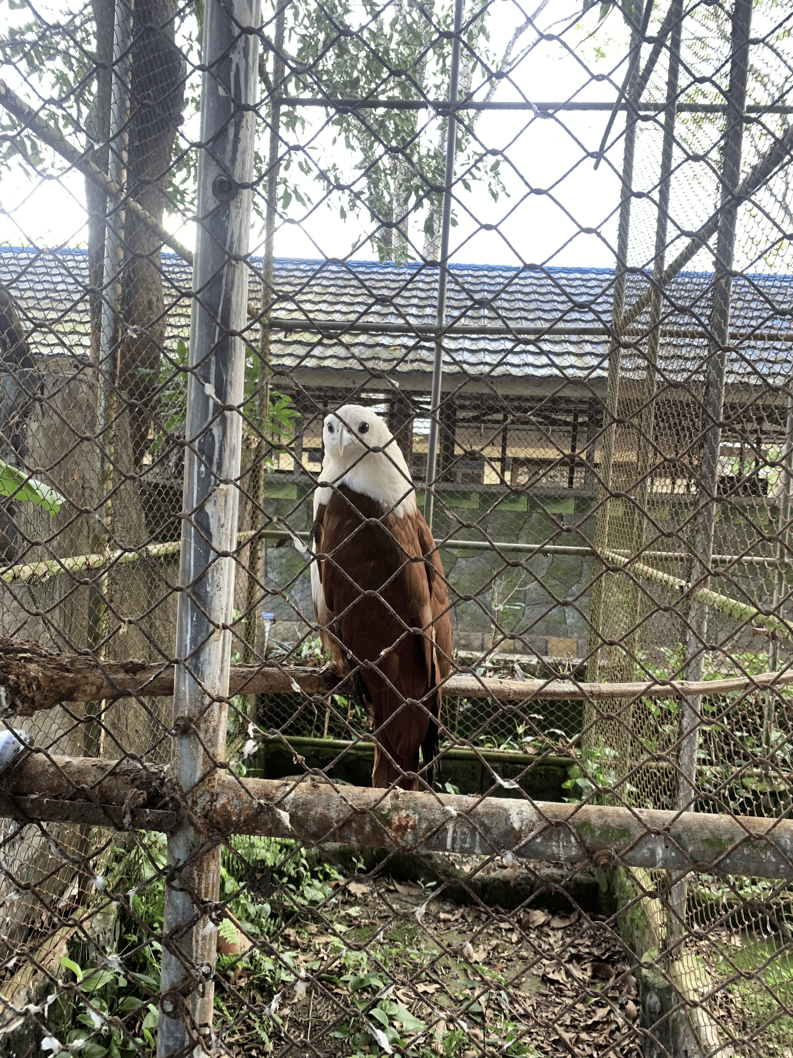 Kebun Binatang Jahri Saleh