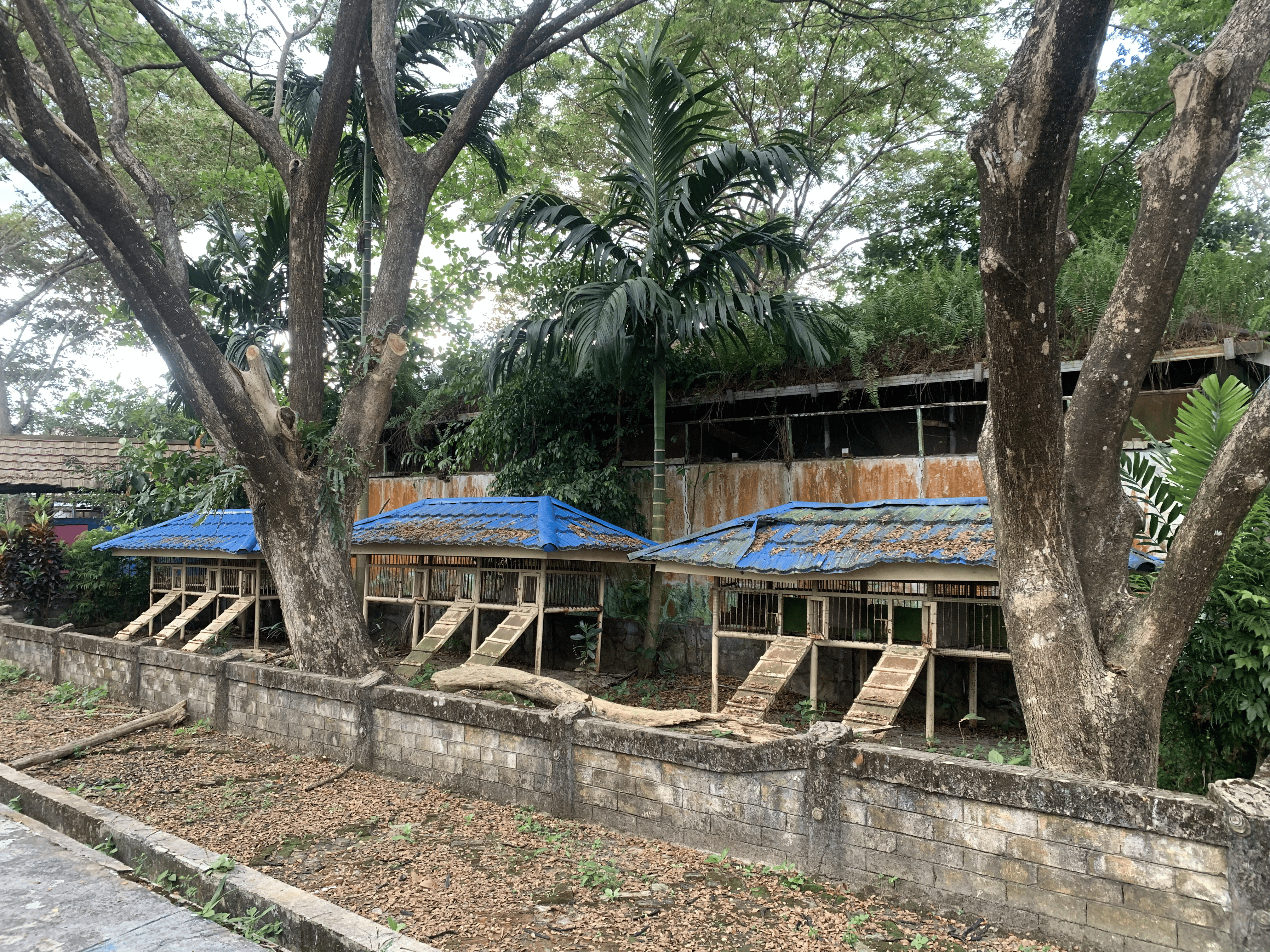 Kebun Binatang Jahri Saleh 3